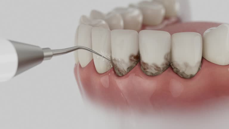 Reliable Dental contractor in Tyler County County, WV by Dentist Open Now